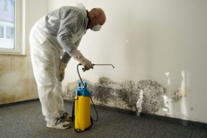 57670940 - specialist in combating mold in an apartment