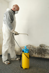 57670942 - specialist in combating mold in an apartment