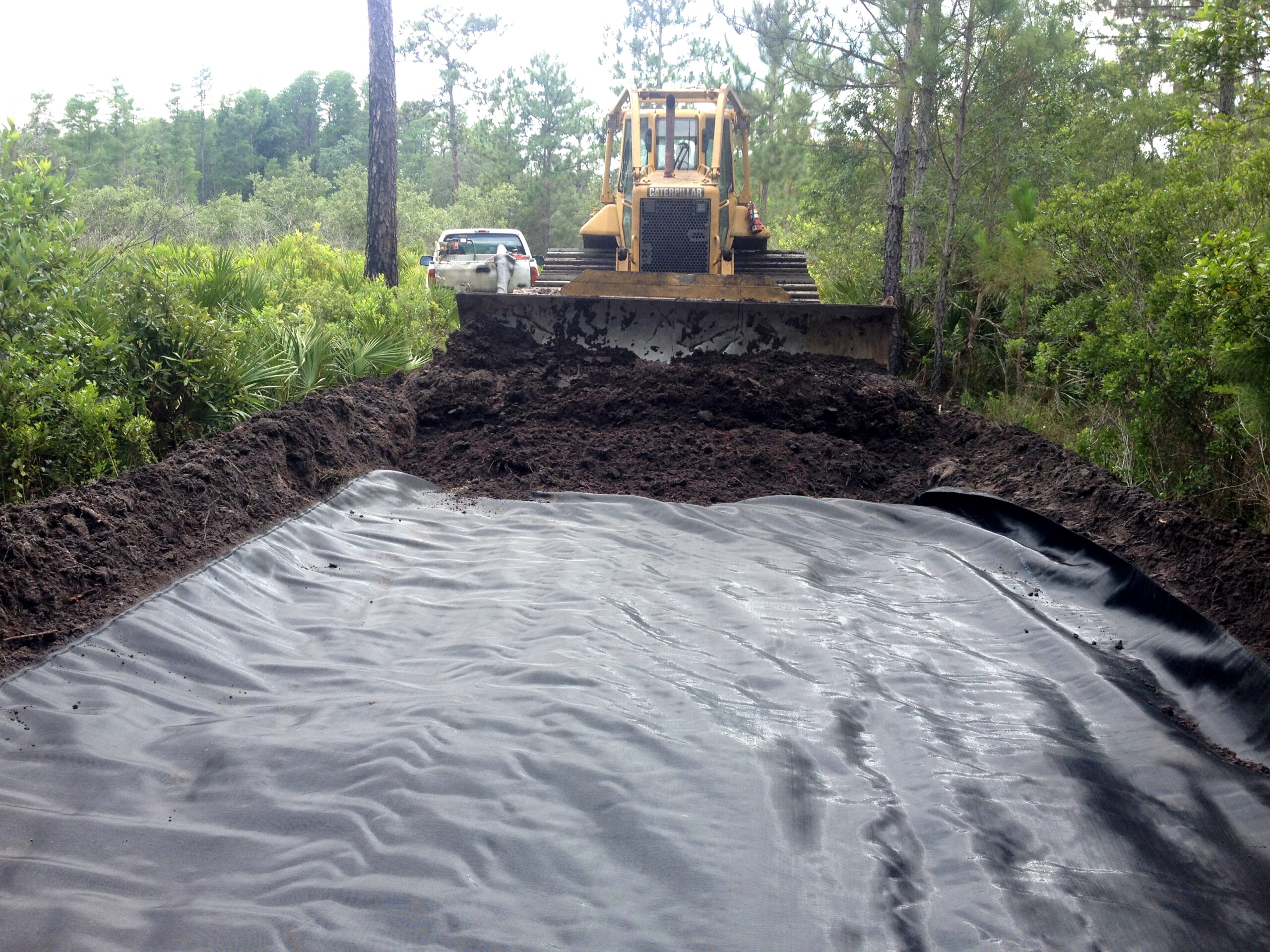Serenova Preserve Restoration Project